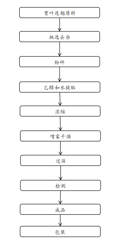 贯叶连翘提取物生产工艺  　　