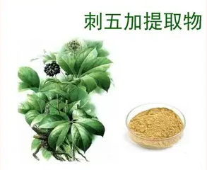 植物提取物刺五加提取物和药物的交互作用